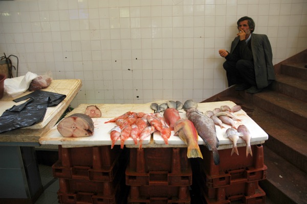Fish Market